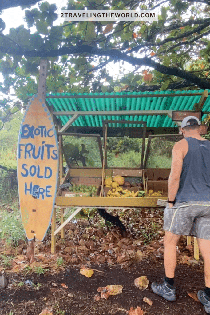 fruit stand on the road to hana in maui. Man is standing at the sign. The sign reads exotic fruits sold here.