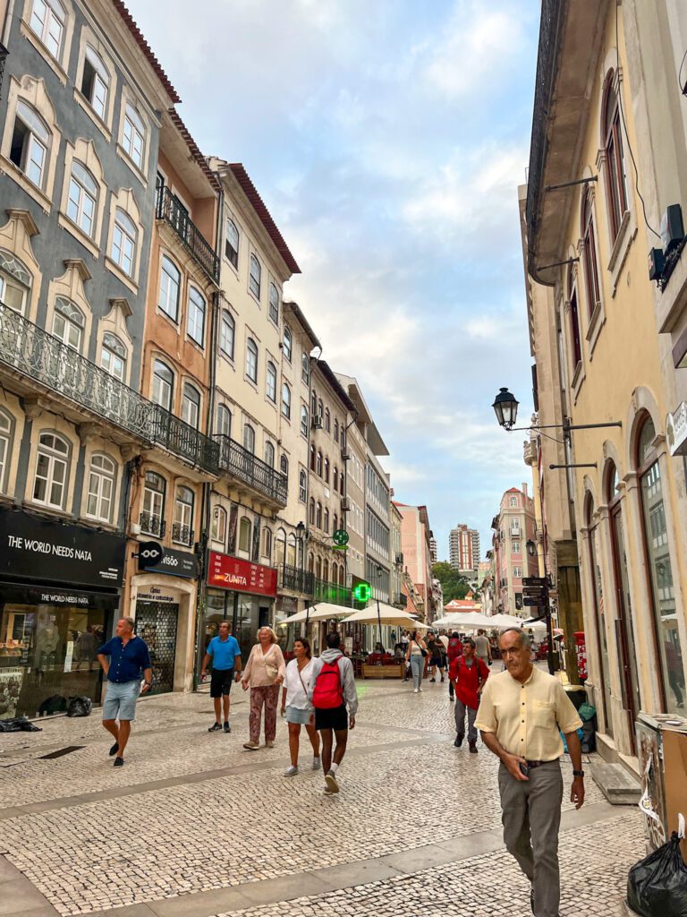 beautiful buildings and shopping along the Rua Ferriera Borges main street