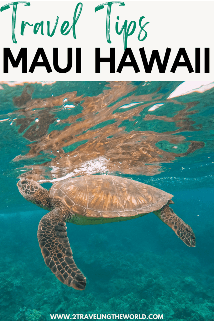 stunning sunrise on the west coast island of Maui and snorkeling with turtles