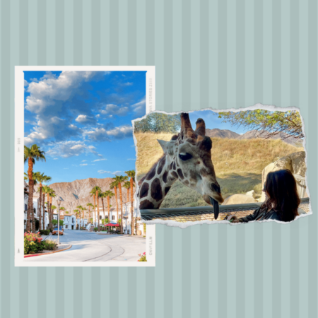Best things to do in la Quinta, California. Girl feeding a giraffe and a picture of old town La Quinta shops.