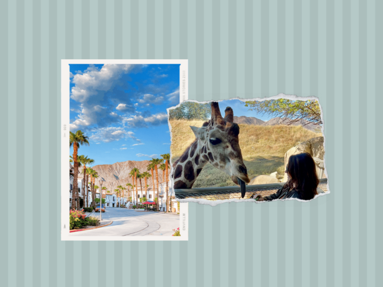 18 Top Things To Do in La Quinta, California