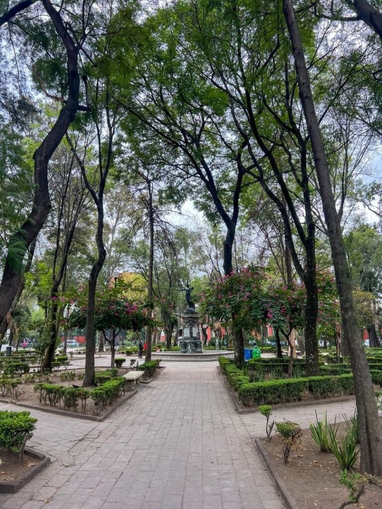 Book Condesa, a Mexico City Safe Neighbordhood to book with lots of beautiful parks