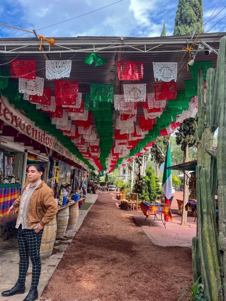 mexico city itinerary stop at the local agave plant weaving and textiles shop