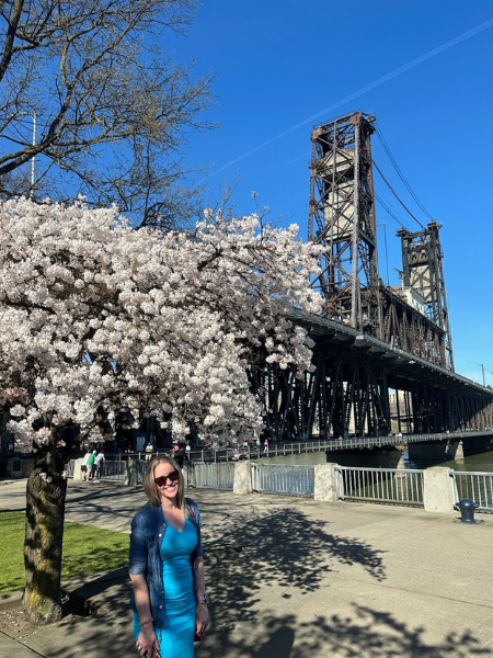 spring blooms of cherry blossoms near portland