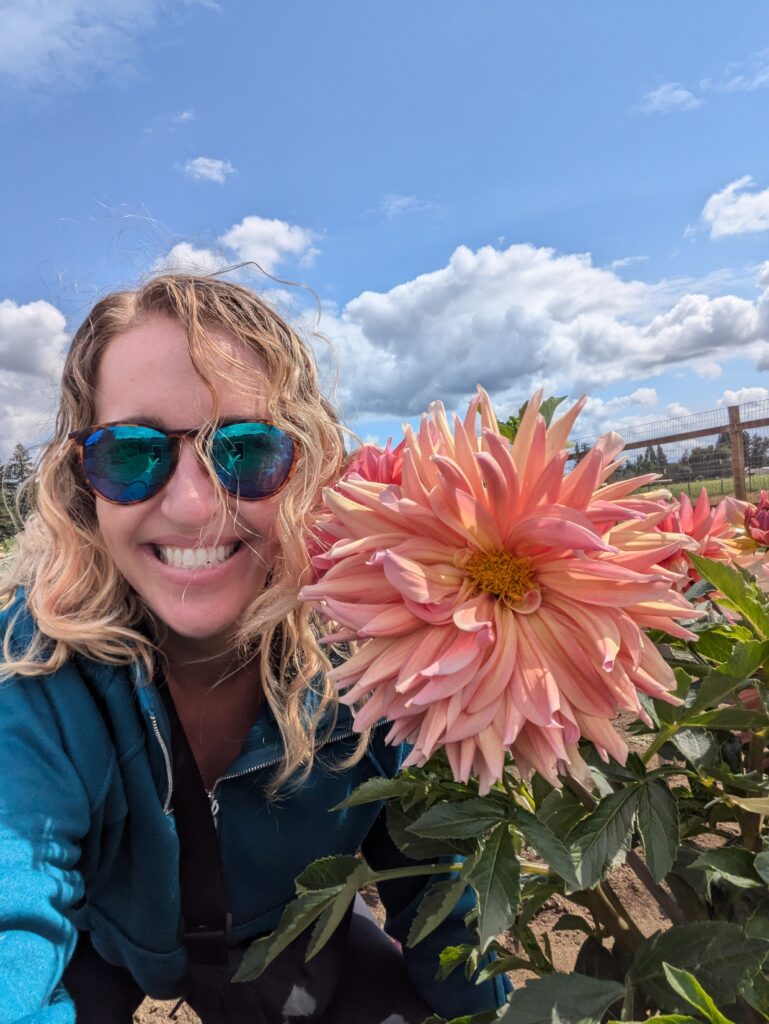 most beautiful flower fields in the pacific northwest - flower farms at Swan Island Dahlia Farm