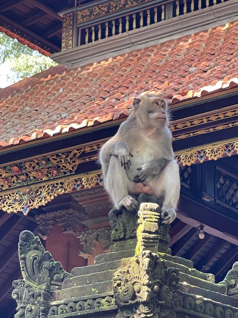 Monkey relaxing on a temple inside the Ubud Monkey Forest