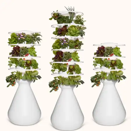 Lettuce Grow Indoor FarmStand