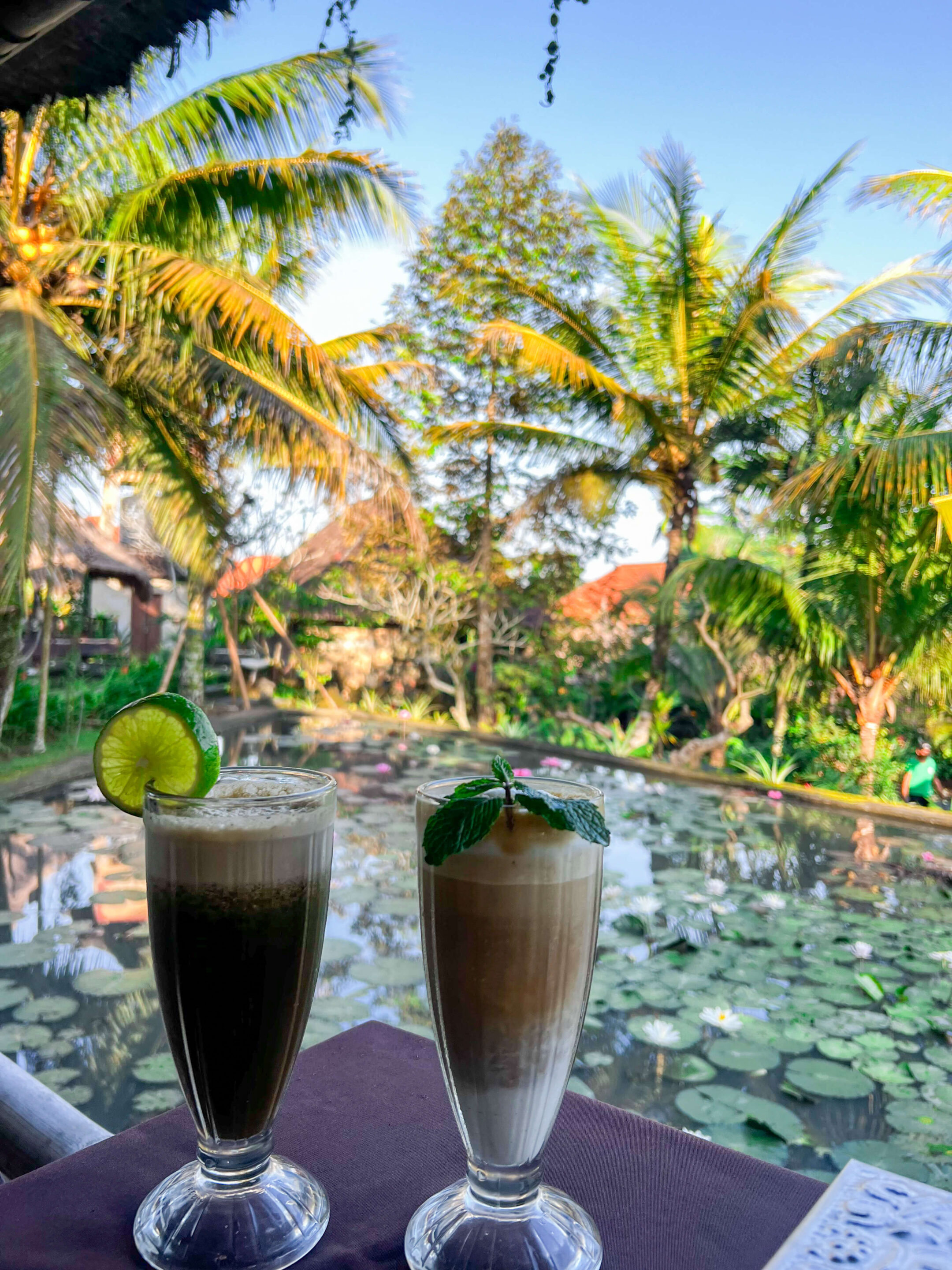 Karsa spa overlooking rice paddies on the campuhan ridge walk trail