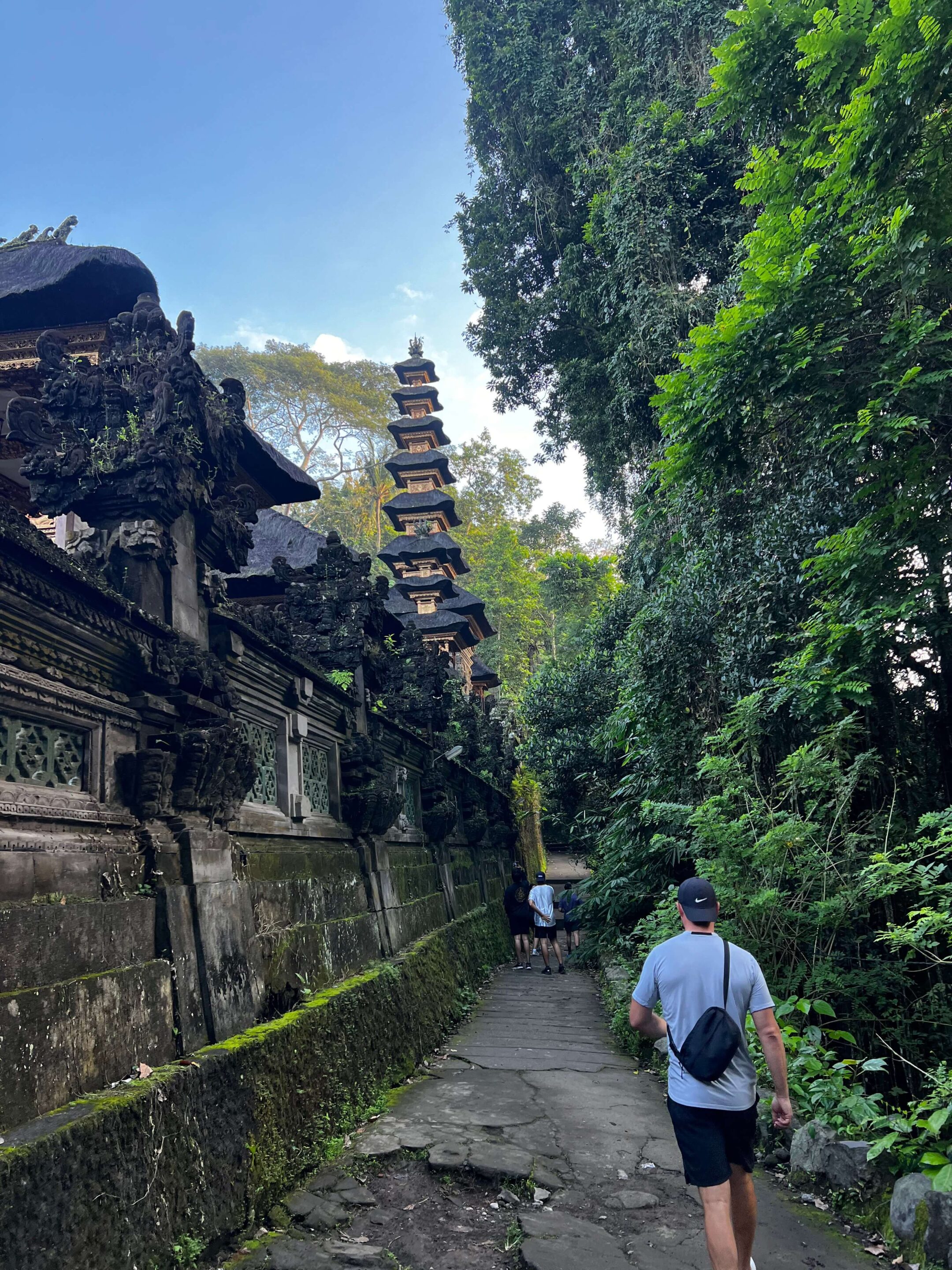 campuhan ridge walk on our 10 day bali itinerary